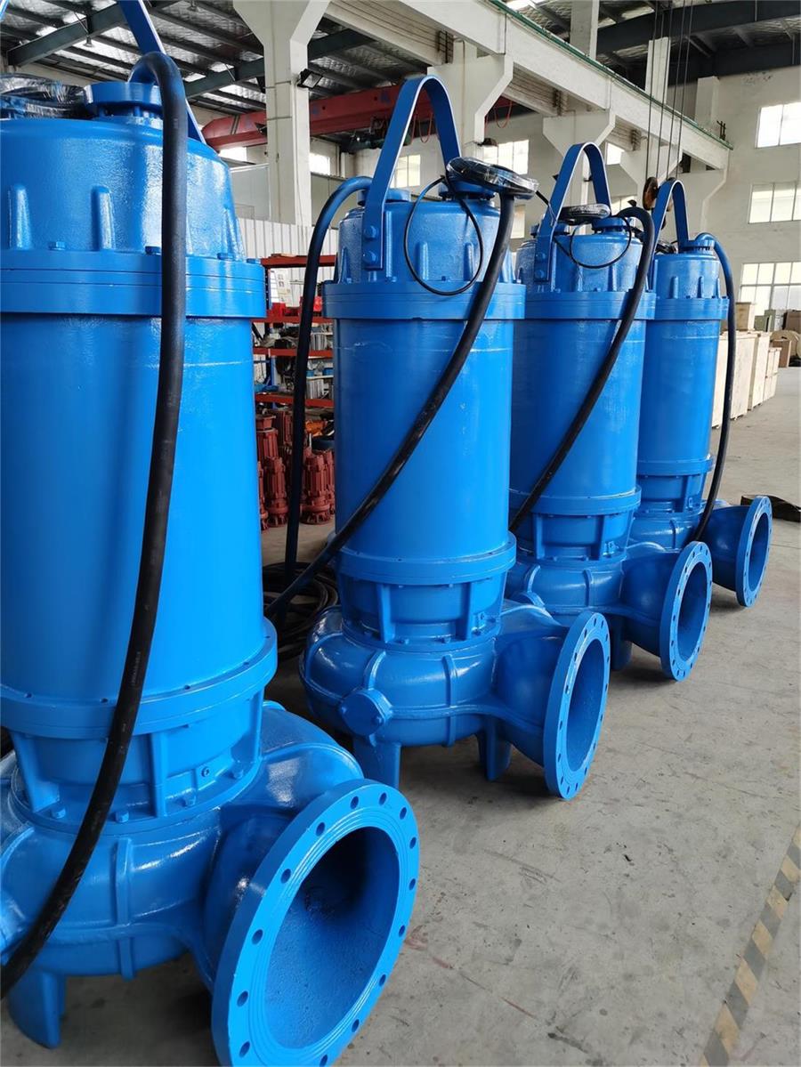 排污泵1 排污泵1